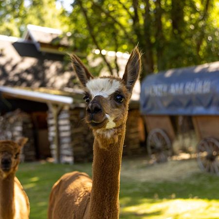 Hotel Am Buehl Eibenstock Zewnętrze zdjęcie